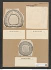 Campylodiscus ornatus Grev. (de-Toni-Nr.: Genus 57, Species 2506) Zeichnungen Sammlung Grunow Nr. 5012 (NHMW-BOT-W0373262)
